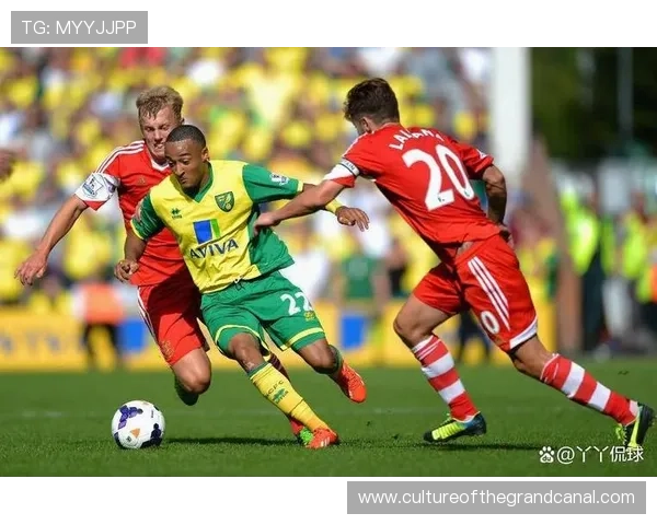 南安普顿俱乐部百年征程与英超坚守精神的时代回响与青训传承之路